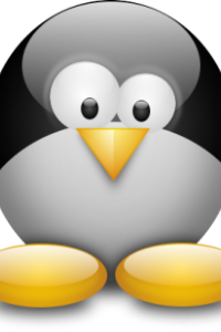 Obrazek użytkownika admin